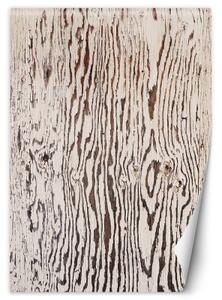 Fototapeta, Dřevěné desky imitující makro - 100x140 cm