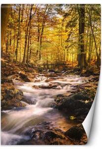 Fototapeta, Vodopád v lese - 100x140 cm
