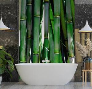 Fototapeta, Zelená bambusová textura - 100x140 cm