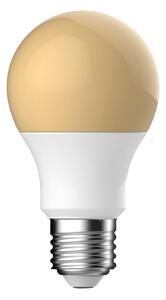 Nordlux LED žárovka E27 4,9W 2400K (bílá, zlatá) LED žárovky plast 5181014521
