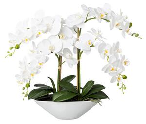 Umělá květina Orchidej bílá v misce, 53cm
