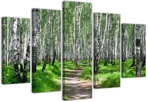 Obraz na plátně pětidílný Příroda březového lesa - 100x70 cm
