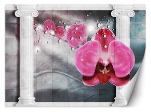 Fototapeta, Květiny Orchidej 3D sloupy - 100x70 cm