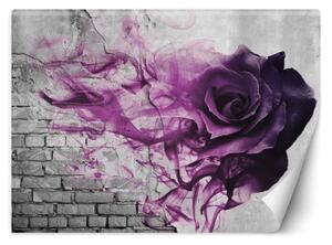 Fototapeta, Fialová růže cihlový vzhled 3D efekt - 100x70 cm