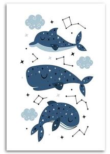 Obraz na plátně Šťastná modrá velryba - 40x60 cm