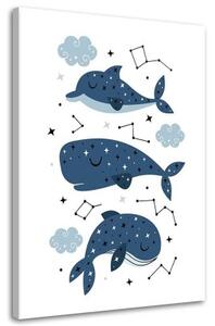 Obraz na plátně Šťastná modrá velryba - 60x90 cm