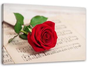 Obraz na plátně Červená růže Květinová hudba - 100x70 cm