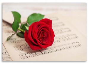 Obraz na plátně Červená růže květ hudby - 60x40 cm