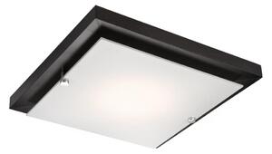 Stropní svítidlo 1xE27/60W/230V
