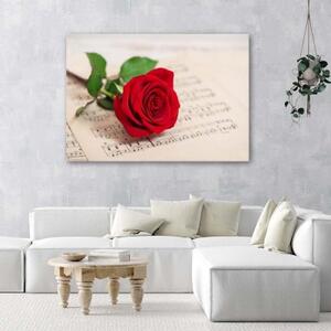 Obraz na plátně Červená růže květ hudby - 90x60 cm