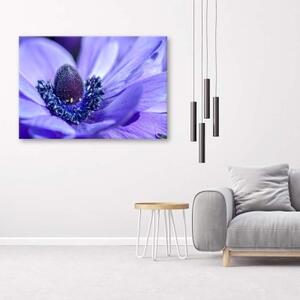 Obraz na plátně Fialová květina Příroda - 60x40 cm