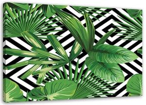 Obraz na plátně Listová geometrická zelená - 90x60 cm