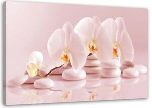Obraz na plátně Orchidejové květiny Zen Spa - 100x70 cm