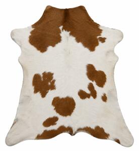 ARCTIC FUR Teletina ALVA 6204 100% příroda