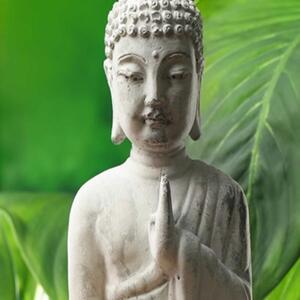 Ozdobný paraván Buddha Zen Flower Leaf - 180x170 cm, pětidílný, klasický paraván