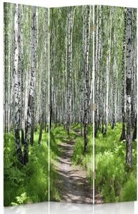 Ozdobný paraván Příroda březového lesa - 110x170 cm, třídílný, klasický paraván