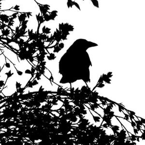 Ozdobný paraván Černobílý pták - 180x170 cm, pětidílný, klasický paraván