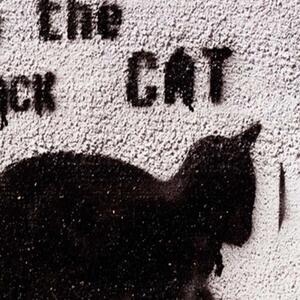 Ozdobný paraván Street Art Cat Graffiti - 145x170 cm, čtyřdílný, klasický paraván