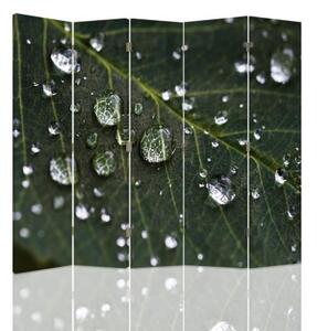 Ozdobný paraván Zelené listy kapky vody - 180x170 cm, pětidílný, klasický paraván
