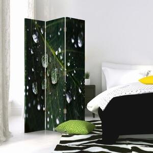 Ozdobný paraván Zelené listy kapky vody - 110x170 cm, třídílný, klasický paraván