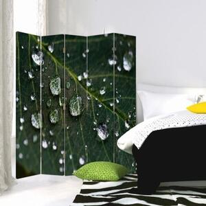 Ozdobný paraván Zelené listy kapky vody - 180x170 cm, pětidílný, klasický paraván