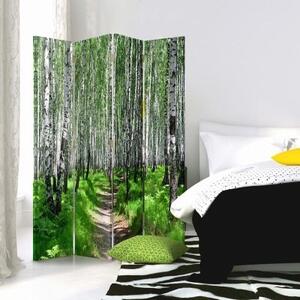 Ozdobný paraván Příroda březového lesa - 145x170 cm, čtyřdílný, klasický paraván