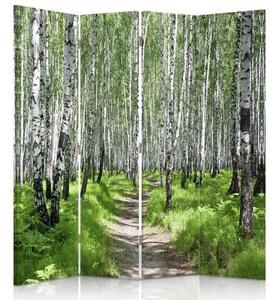 Ozdobný paraván Příroda březového lesa - 145x170 cm, čtyřdílný, klasický paraván
