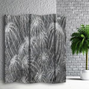 Ozdobný paraván, Abstrakt s kaktusem - 180x170 cm, pětidílný, klasický paraván