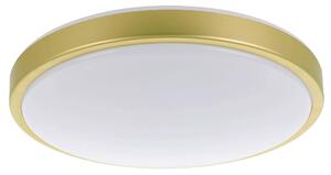 STROPNÍ SVÍTIDLO, 43/9 cm Eglo - Online Only svítidla, Online Only