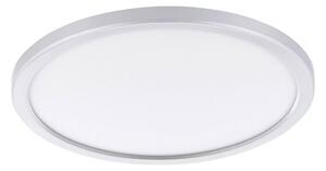 STROPNÍ LED SVÍTIDLO, 29,5/2,5 cm Eglo - Online Only svítidla, Online Only