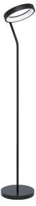 STOJACÍ LAMPA, 27/30,5/169 cm Eglo - Stojací lampy