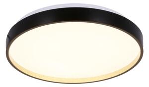 LED Stropní svítidlo FLORIDA LED/18W/230V černá