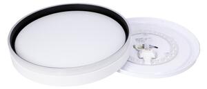 LED Stropní svítidlo FLORIDA LED/24W/230V bílá