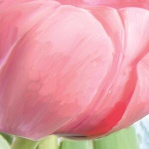 Ozdobný paraván Květiny Tulipány Příroda - 110x170 cm, třídílný, klasický paraván