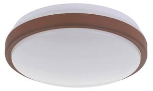 STROPNÍ SVÍTIDLO, 24,5/9 cm Eglo - Online Only svítidla, Online Only