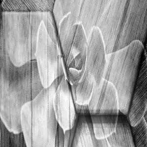 Ozdobný paraván, Tajemství šedi - 145x170 cm, čtyřdílný, klasický paraván