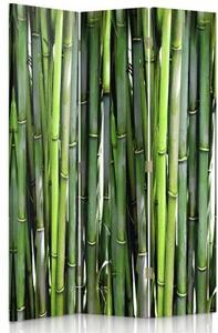 Ozdobný paraván, Bambus - 110x170 cm, třídílný, klasický paraván