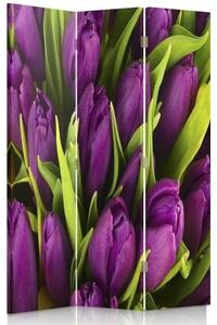 Ozdobný paraván Fialové tulipány - 110x170 cm, třídílný, klasický paraván