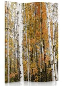 Ozdobný paraván, Březový les na podzim - 110x170 cm, třídílný, klasický paraván