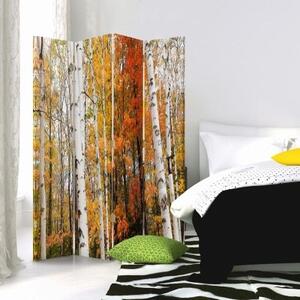 Ozdobný paraván, Březový les na podzim - 145x170 cm, čtyřdílný, klasický paraván