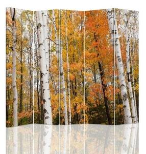 Ozdobný paraván, Březový les na podzim - 180x170 cm, pětidílný, klasický paraván