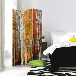 Ozdobný paraván, Březový les na podzim - 110x170 cm, třídílný, klasický paraván