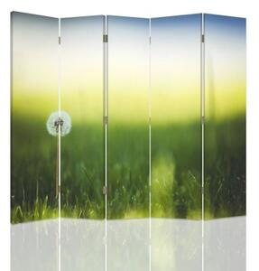 Ozdobný paraván, Pampeliška v zelené trávě - 180x170 cm, pětidílný, klasický paraván