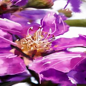 Ozdobný paraván, Magnetické květiny - 145x170 cm, čtyřdílný, klasický paraván