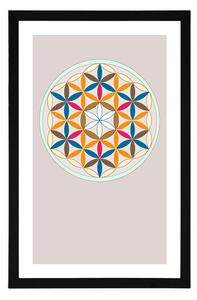 Plakát s paspartou barevná Mandala - 40x60 white
