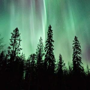 Ozdobný paraván, Aurora nad lesem - 180x170 cm, pětidílný, klasický paraván