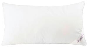 POLŠTÁŘ, 40/80 cm - Polštáře pod hlavu