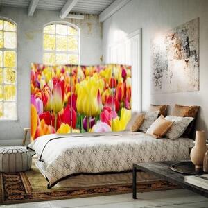 Ozdobný paraván, Pestrobarevné tulipány - 180x170 cm, pětidílný, klasický paraván