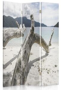 Ozdobný paraván, Větve stromů na tropické pláži - 110x170 cm, třídílný, klasický paraván