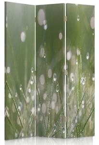 Ozdobný paraván, Kapky rosy na trávě - 110x170 cm, třídílný, klasický paraván